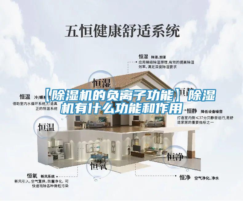 【猫咪成人官网的负离子功能】猫咪成人官网有什么功能和作用