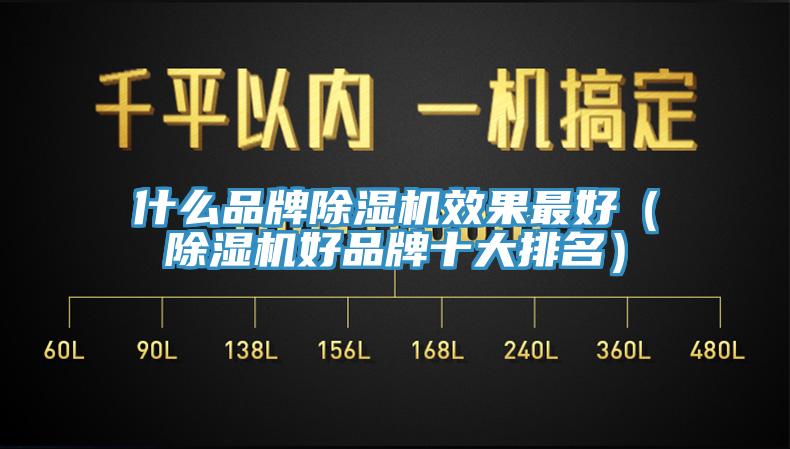 什么品牌猫咪成人官网效果最好（猫咪成人官网好品牌十大排名）