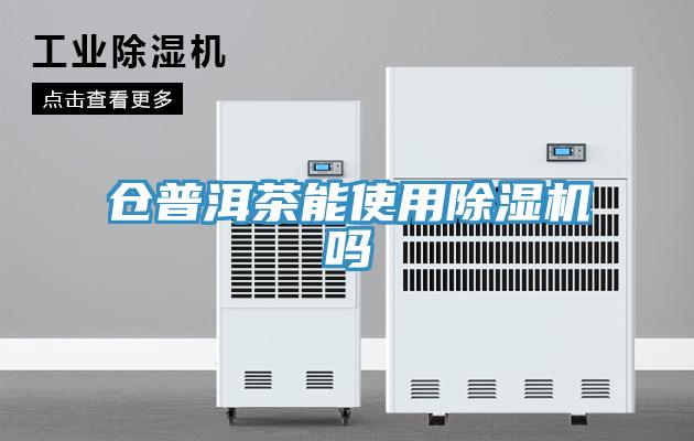 仓普洱茶能使用猫咪成人官网吗