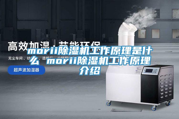 morii猫咪成人官网工作原理是什么 morii猫咪成人官网工作原理介绍