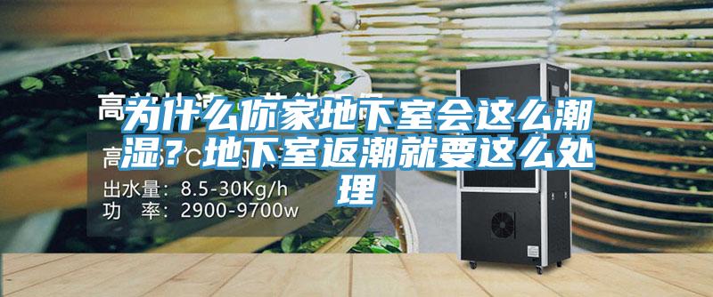 为什么你家地下室会这么潮湿？地下室返潮就要这么处理