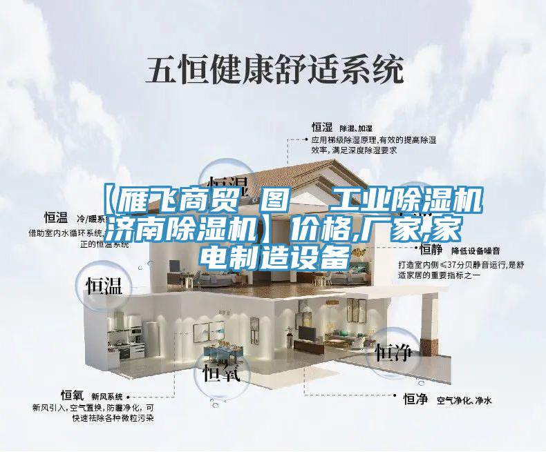 【雁飞商贸 图  工业猫咪成人官网 济南猫咪成人官网】价格,厂家,家电制造设备