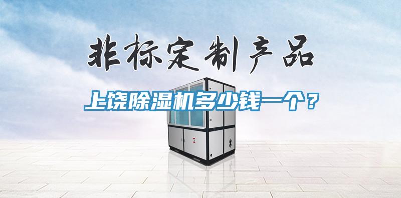 上饶猫咪成人官网多少钱一个？