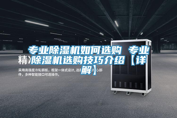 专业猫咪成人官网如何选购 专业猫咪成人官网选购技巧介绍【详解】