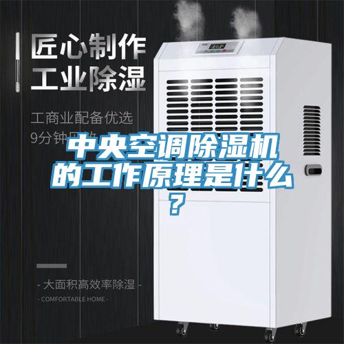 中央空调猫咪成人官网的工作原理是什么？