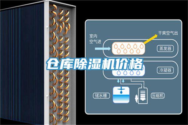 仓库猫咪成人官网价格
