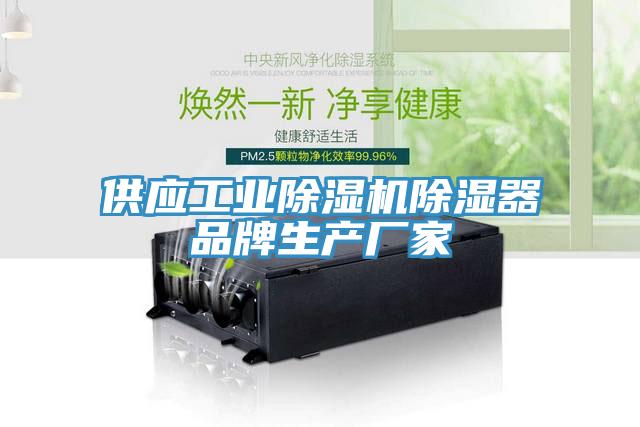 供应工业猫咪成人官网除湿器品牌生产厂家