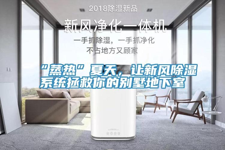 “蒸热”夏天，让新风除湿系统拯救你的别墅地下室