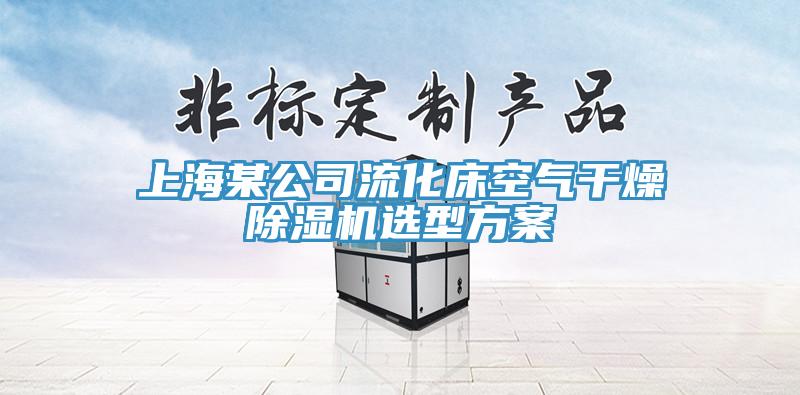 上海某公司流化床空气干燥猫咪成人官网选型方案