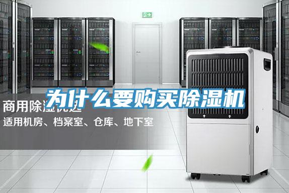 为什么要购买猫咪成人官网