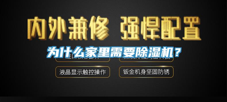 为什么家里需要猫咪成人官网？