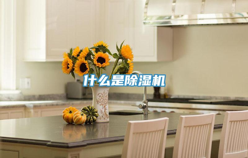 什么是猫咪成人官网