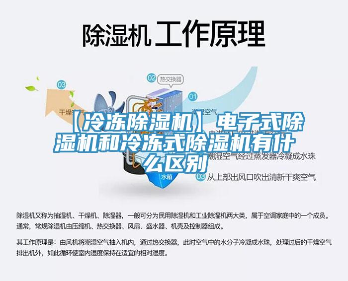 【冷冻猫咪成人官网】电子式猫咪成人官网和冷冻式猫咪成人官网有什么区别