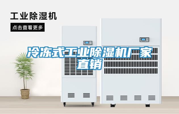 冷冻式工业猫咪成人官网厂家直销