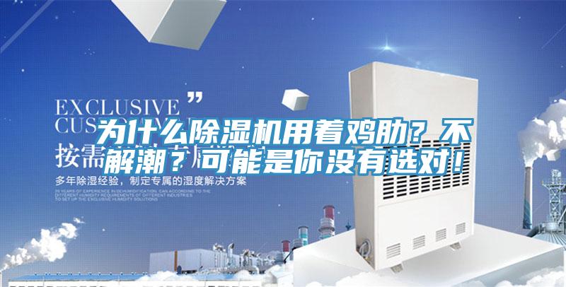 为什么猫咪成人官网用着鸡肋？不解潮？可能是你没有选对！