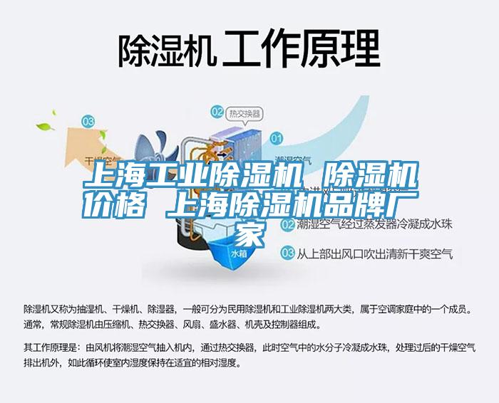 上海工业猫咪成人官网 猫咪成人官网价格 上海猫咪成人官网品牌厂家