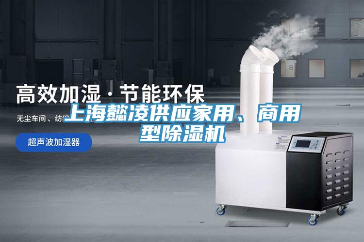 上海懿凌供应家用、商用型猫咪成人官网