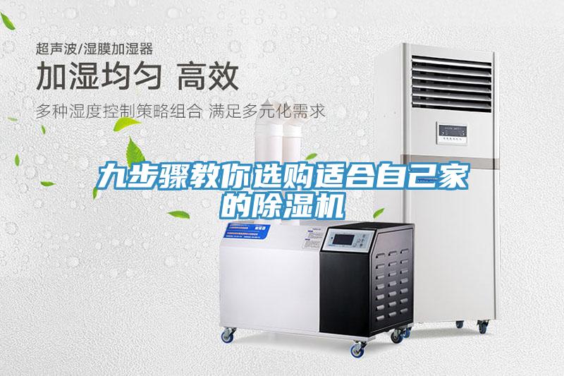九步骤教你选购适合自己家的猫咪成人官网