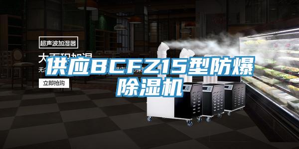 供应BCFZ15型防爆猫咪成人官网