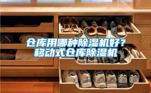仓库用哪种猫咪成人官网好？移动式仓库猫咪成人官网