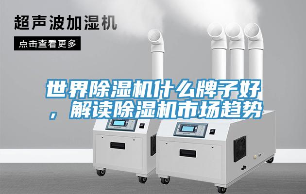 世界猫咪成人官网什么牌子好，解读猫咪成人官网市场趋势