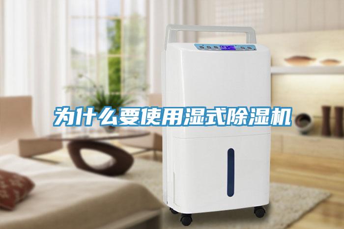 为什么要使用湿式猫咪成人官网