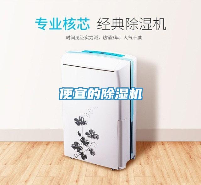 便宜的猫咪成人官网