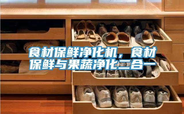 食材保鲜净化机，食材保鲜与果蔬净化二合一