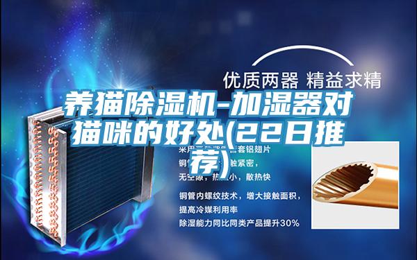 养猫猫咪成人官网-加湿器对猫咪的好处(22日推荐)