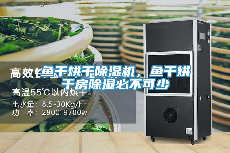 鱼干烘干猫咪成人官网，鱼干烘干房除湿必不可少