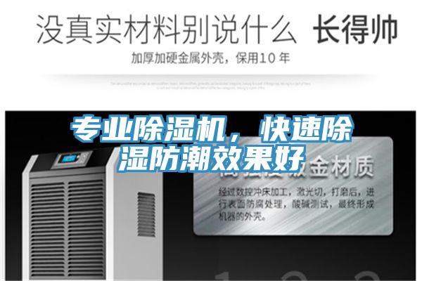 专业猫咪成人官网，快速除湿防潮效果好