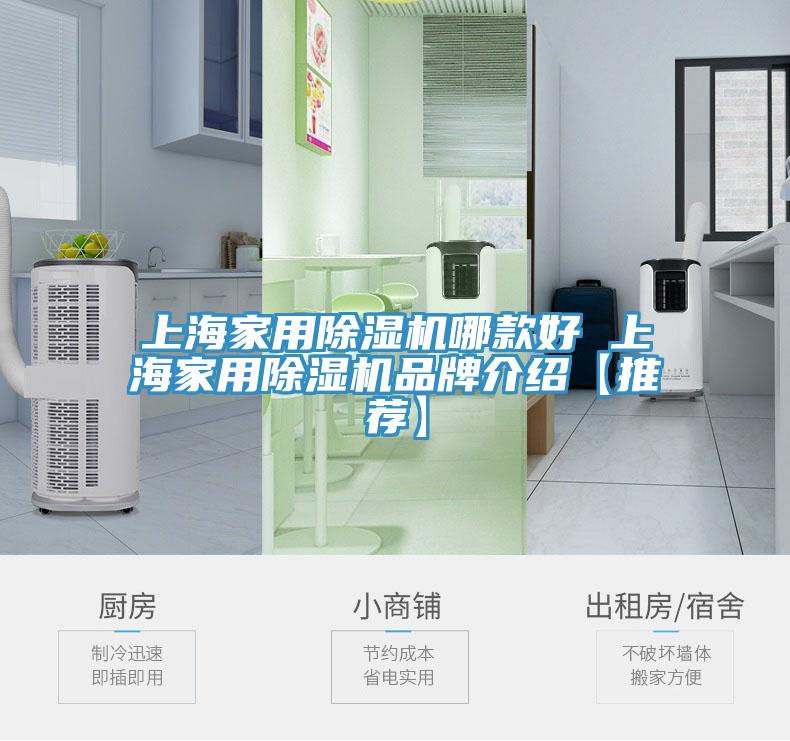 上海家用猫咪成人官网哪款好 上海家用猫咪成人官网品牌介绍【推荐】