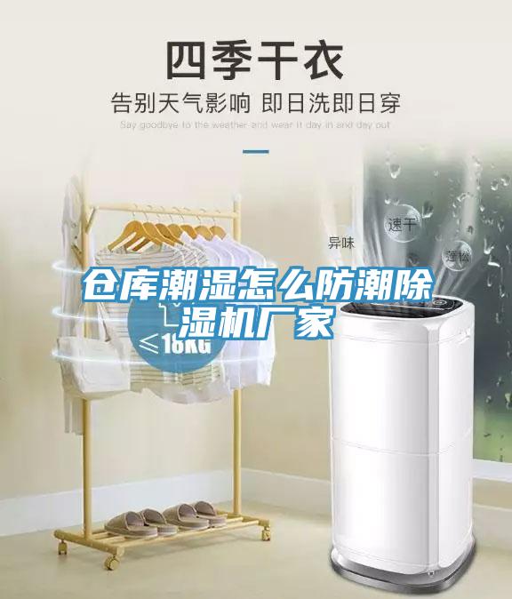 仓库潮湿怎么防潮猫咪成人官网厂家