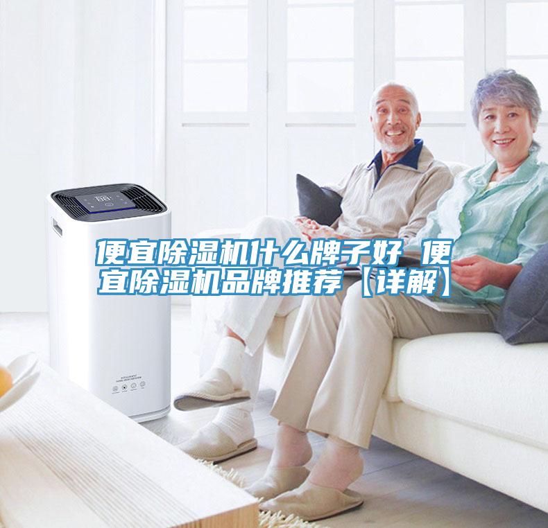 便宜猫咪成人官网什么牌子好 便宜猫咪成人官网品牌推荐【详解】