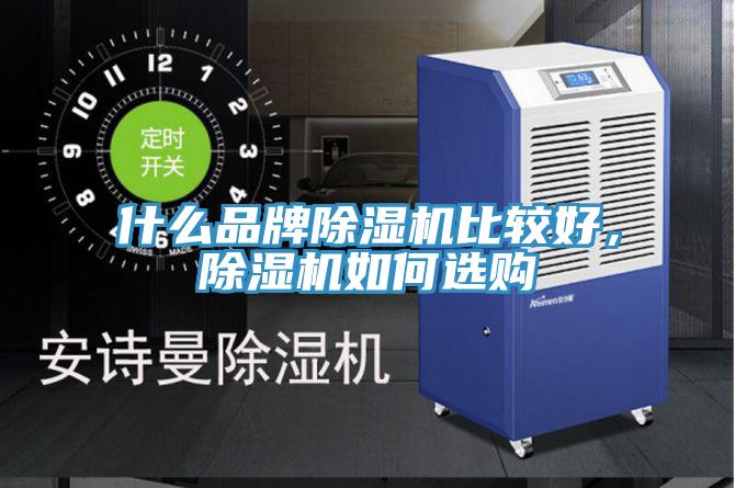 什么品牌猫咪成人官网比较好，猫咪成人官网如何选购