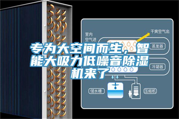 专为大空间而生，智能大吸力低噪音猫咪成人官网来了
