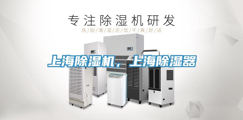 上海猫咪成人官网，上海除湿器