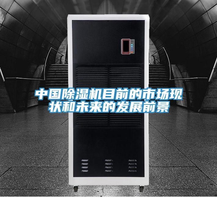 中国猫咪成人官网目前的市场现状和未来的发展前景