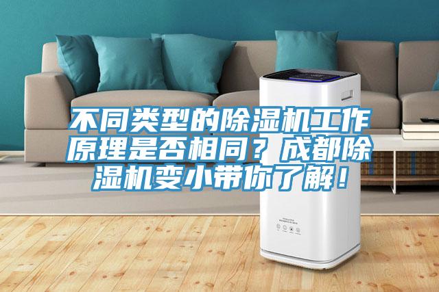 不同类型的猫咪成人官网工作原理是否相同？成都猫咪成人官网变小带你了解！