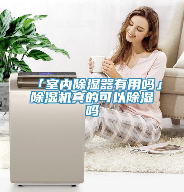 「室内除湿器有用吗」猫咪成人官网真的可以除湿吗