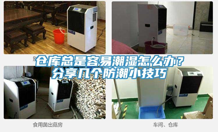 仓库总是容易潮湿怎么办？分享几个防潮小技巧