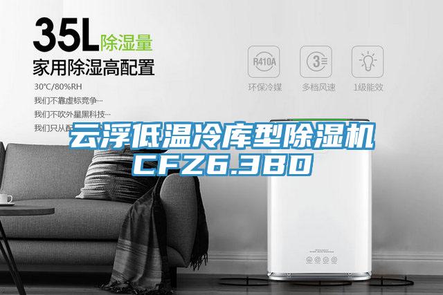 云浮低温冷库型猫咪成人官网CFZ6.3BD