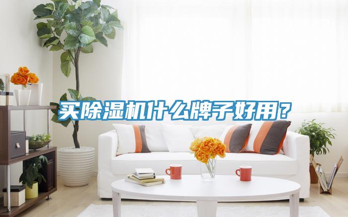 买猫咪成人官网什么牌子好用？
