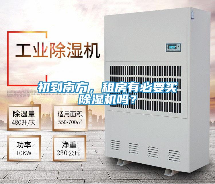 初到南方，租房有必要买猫咪成人官网吗？