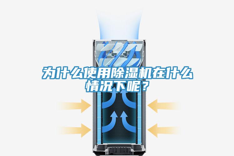 为什么使用猫咪成人官网在什么情况下呢？