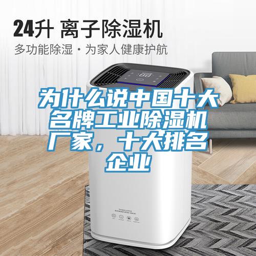 为什么说中国十大名牌工业猫咪成人官网厂家，十大排名企业