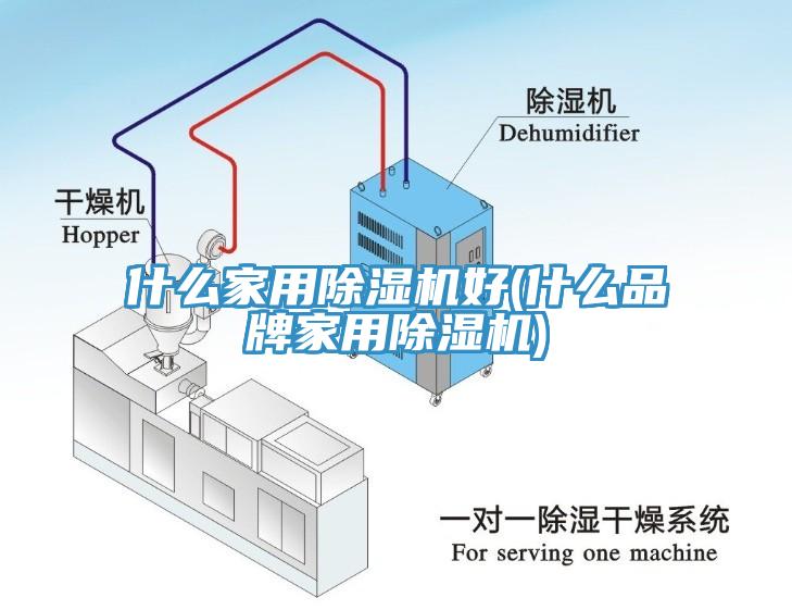 什么家用猫咪成人官网好(什么品牌家用猫咪成人官网)