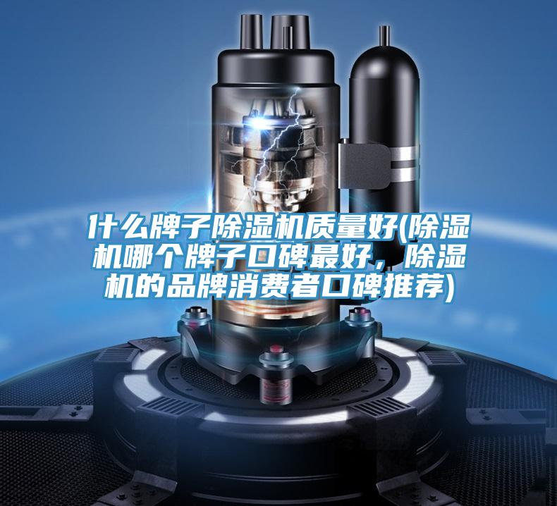 什么牌子猫咪成人官网质量好(猫咪成人官网哪个牌子口碑最好，猫咪成人官网的品牌消费者口碑推荐)