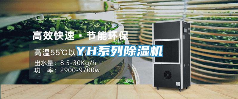 YH系列猫咪成人官网