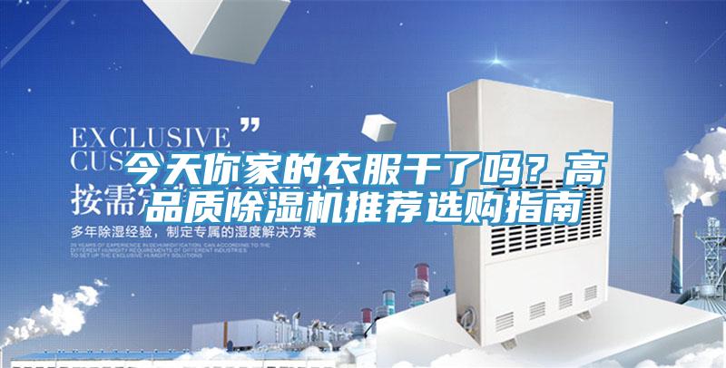 今天你家的衣服干了吗？高品质猫咪成人官网推荐选购指南